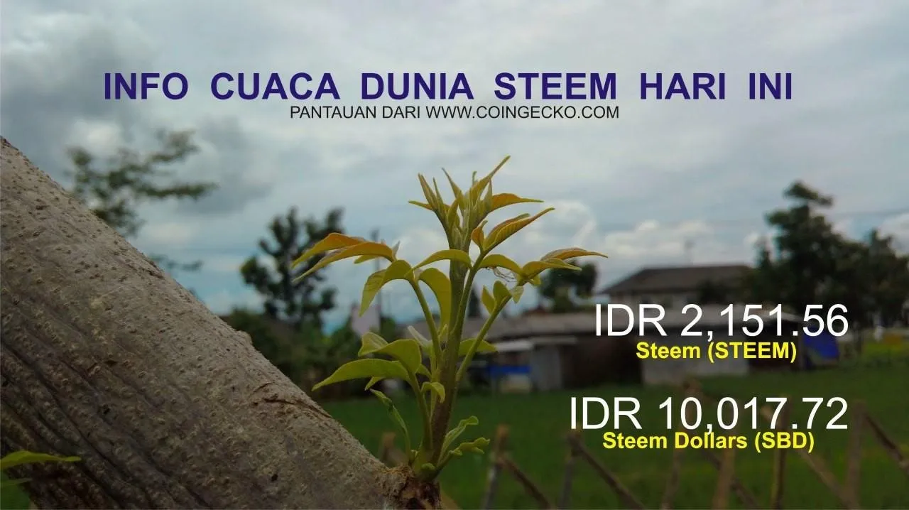 Info Cuaca Dunia Steem Hari Ini