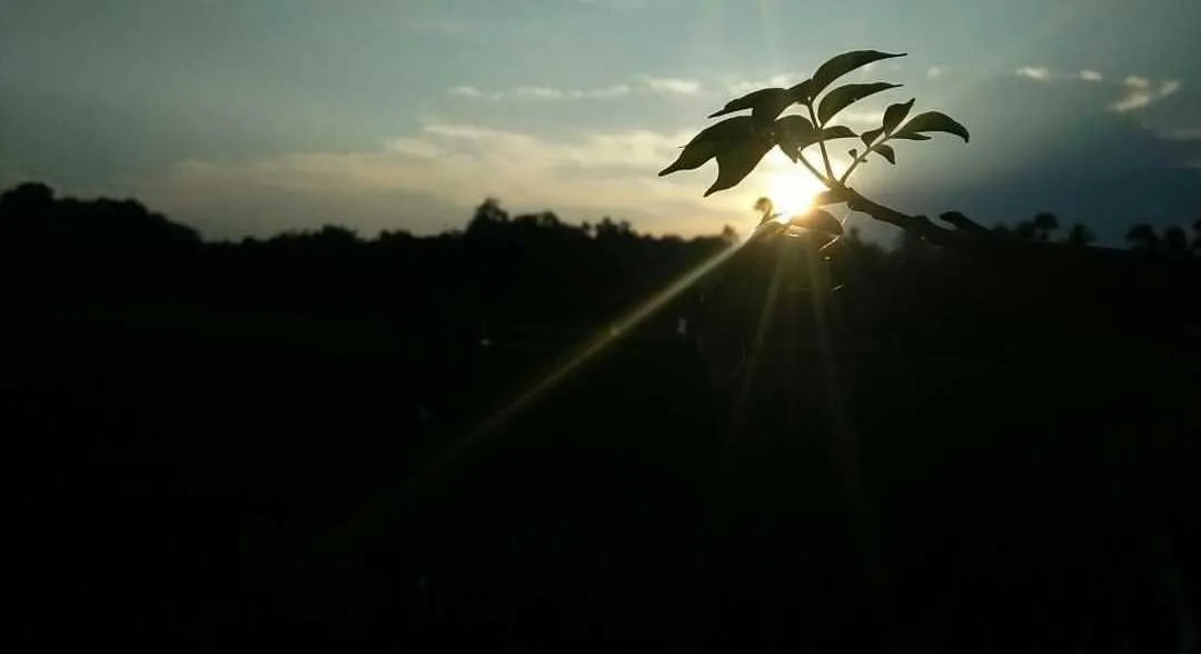 The sun is dusk
