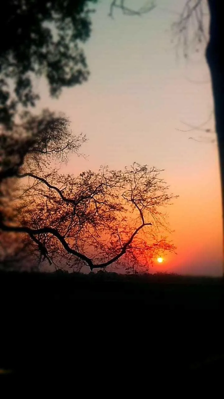 Best sunrise of my life. Photography #137