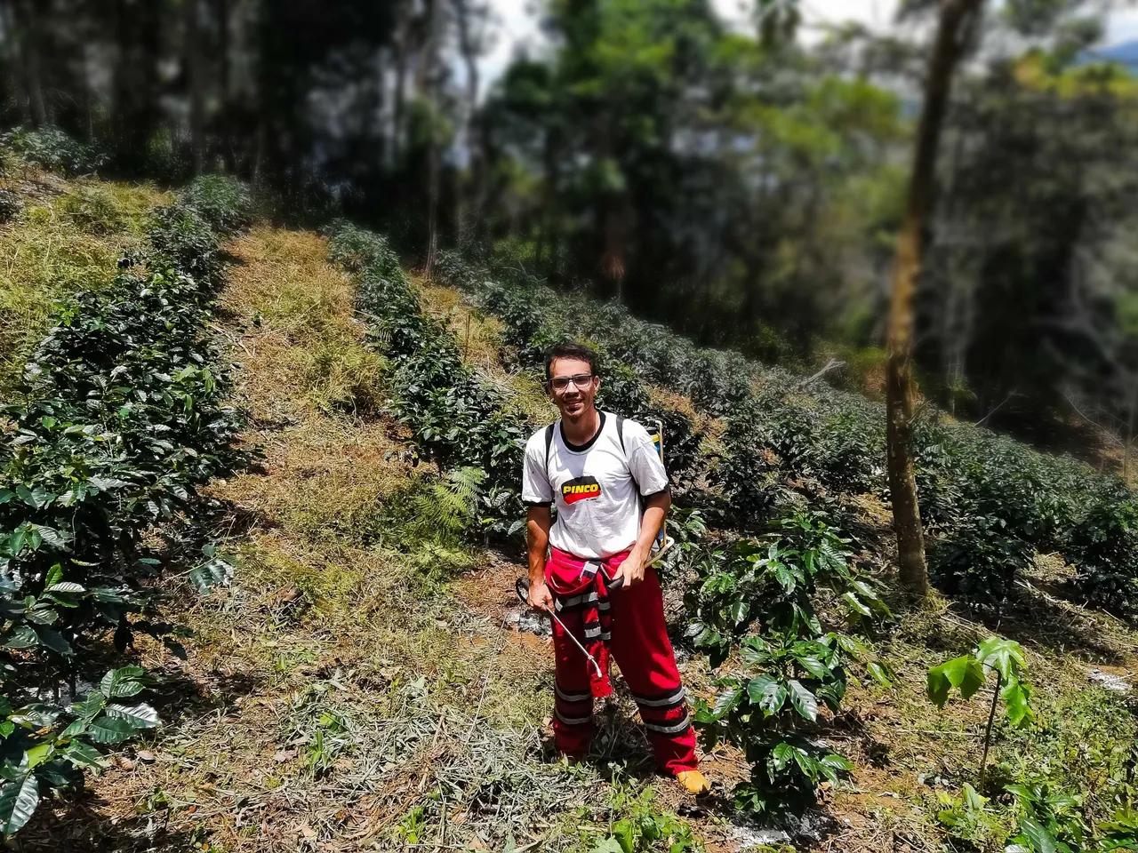 ¡Día de agricultura en la finca de la montaña!