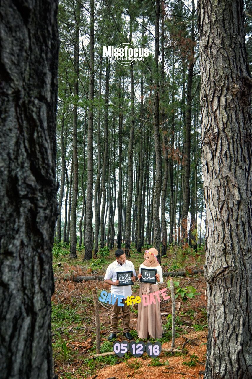 PHOTOGRAPHY #25th Season Photo Natural In The Pine Forest