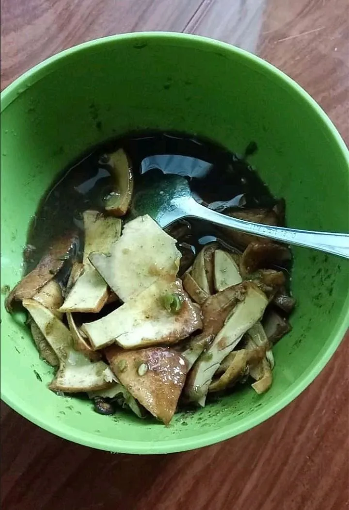 BERBAGAI MACAM JENIS RUJAK COLEK ACEH
