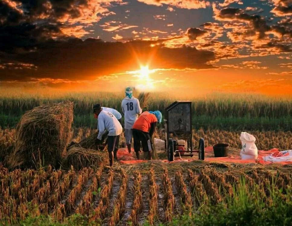 Selamat pagi semuanya 