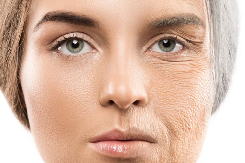 To stop aging is not possible mathematically