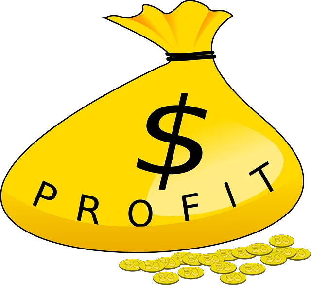 money-40603_640.png