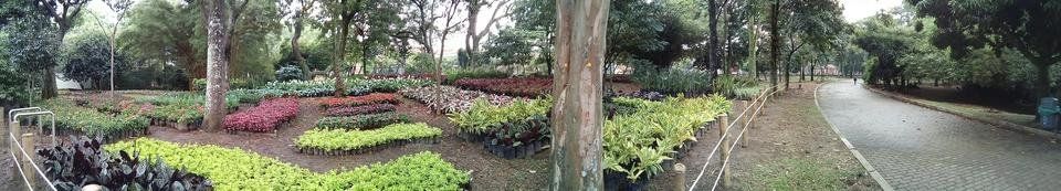 Botanical garden of Medellin Colombia