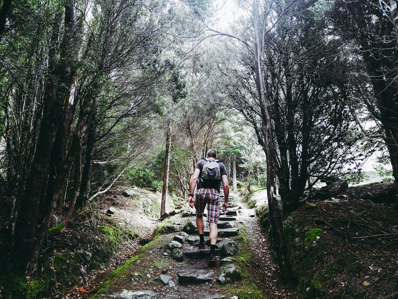 The Springs, Mt Wellington
