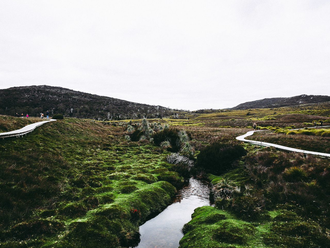 Wombat Pool Track, Cradle Mountain