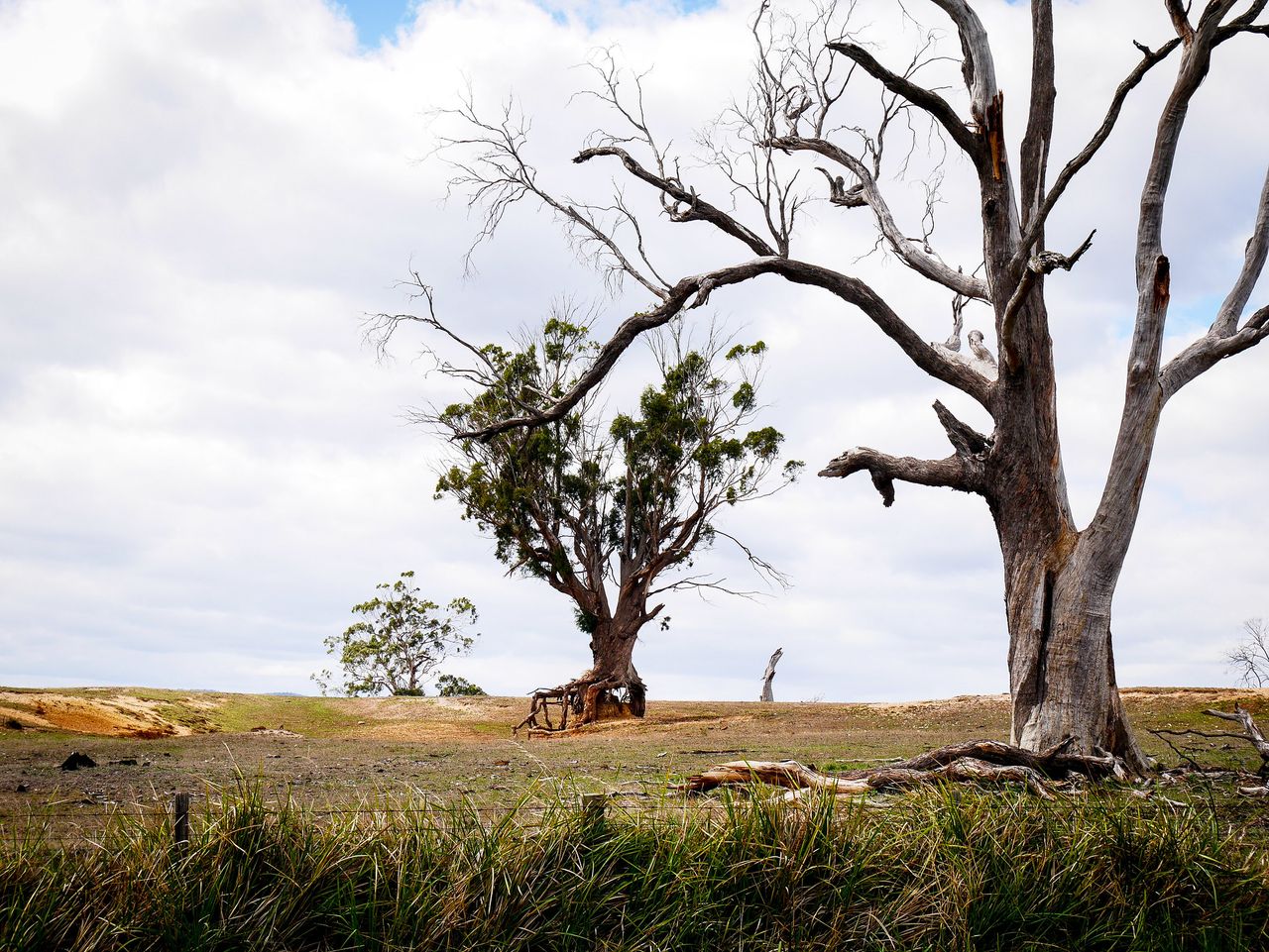 B34, Campbell Town
