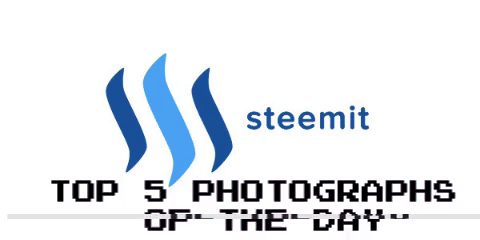 Top 3 Trending Photographs on Steemit (3/1/2018)
