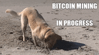 Hard work 😂🤣 funny meme gif