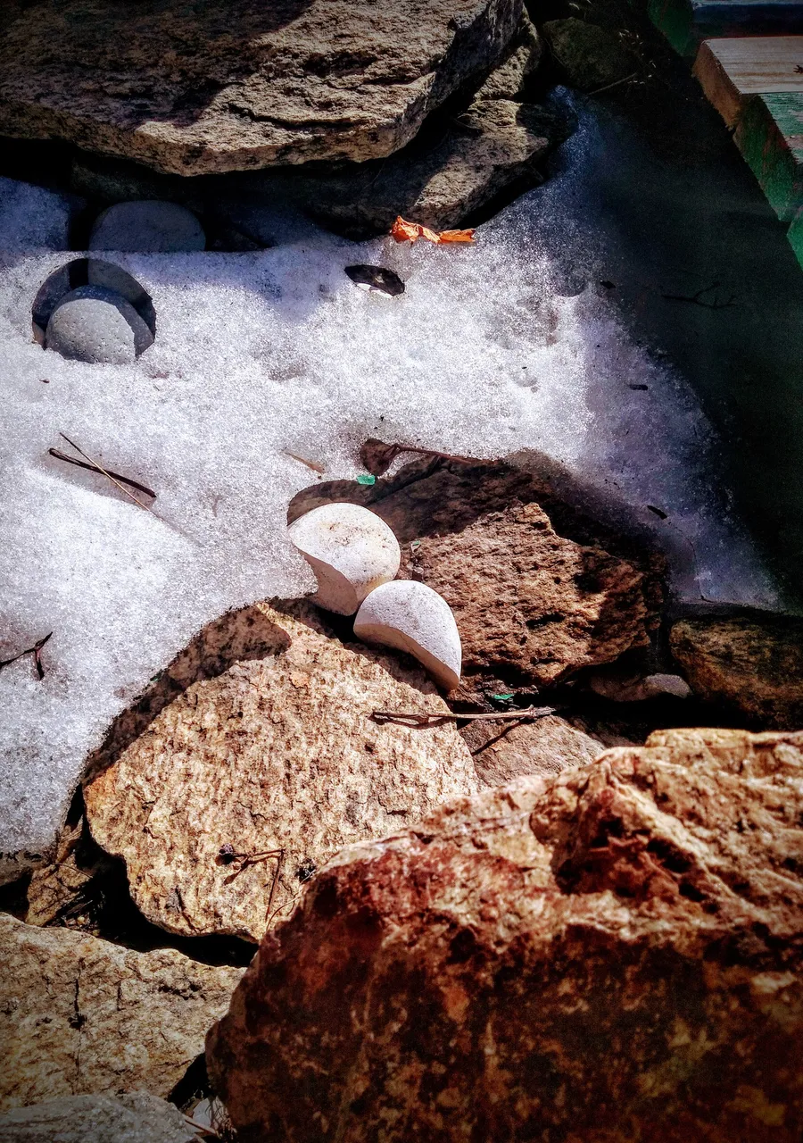 Spring is coming....