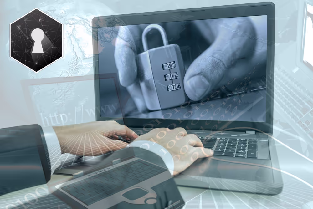 PDATA - is the project attractive for investments?