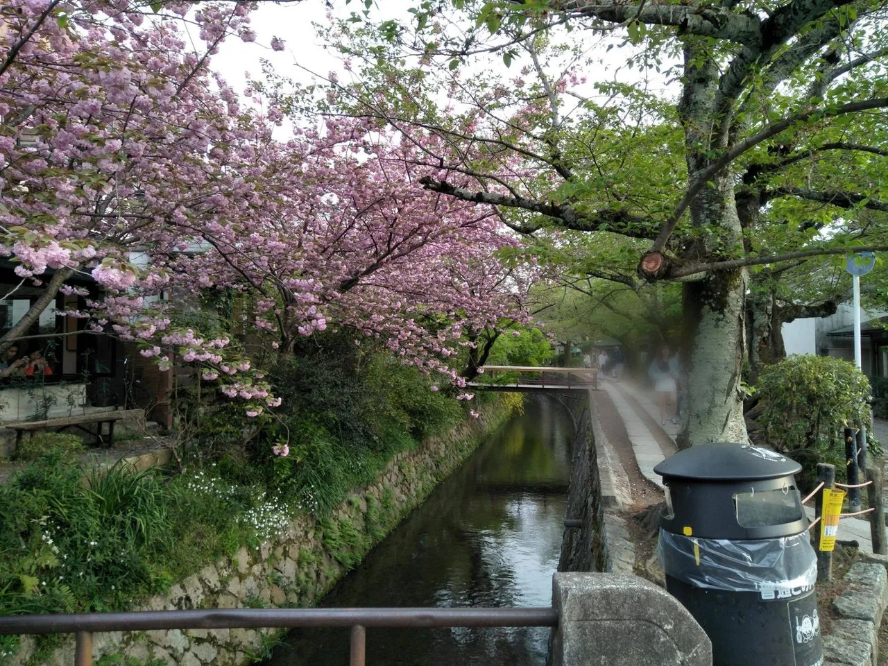 京都・哲学の道を散策