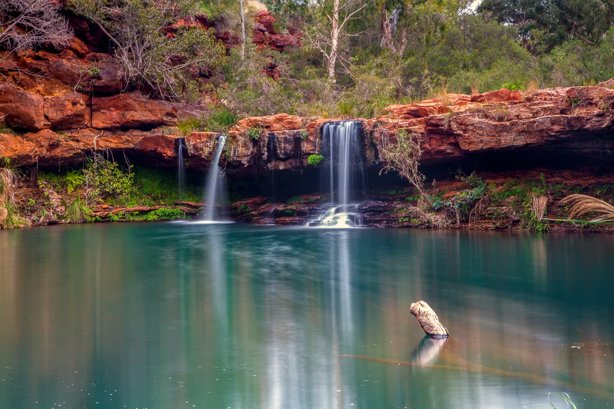 Tranquil Fern Pool