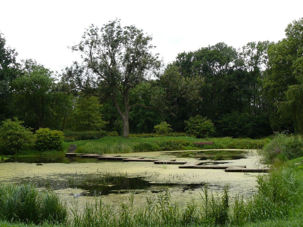 Arboretum w Przelewicach
