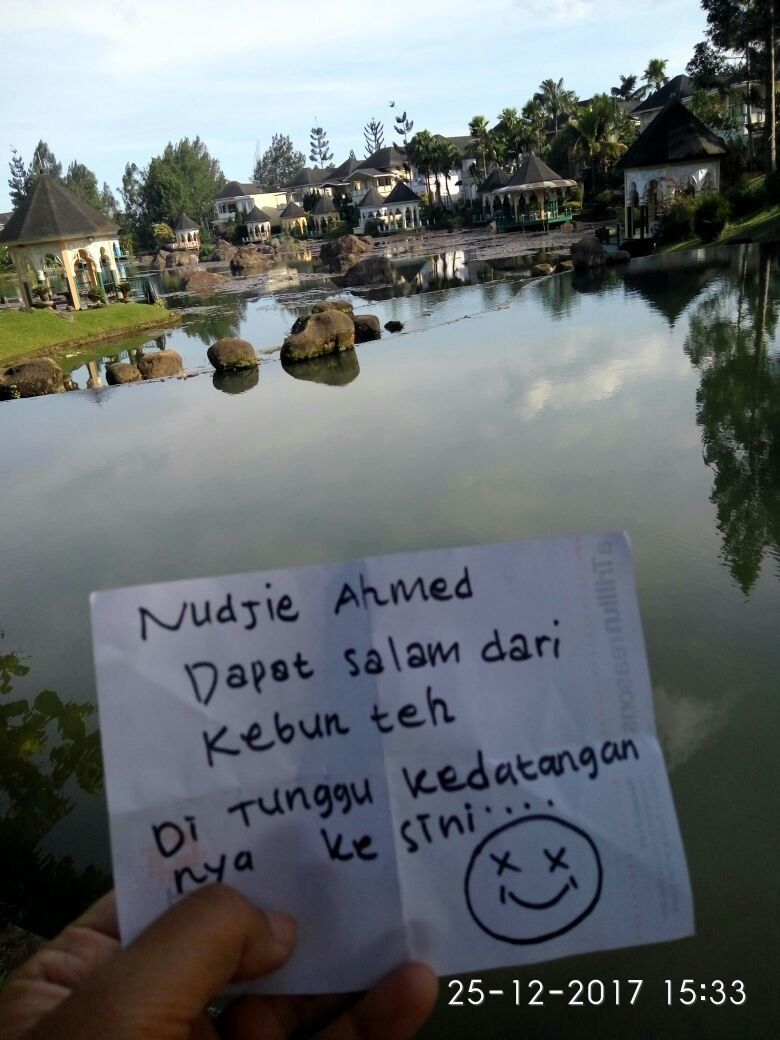 photografhy kebun teh