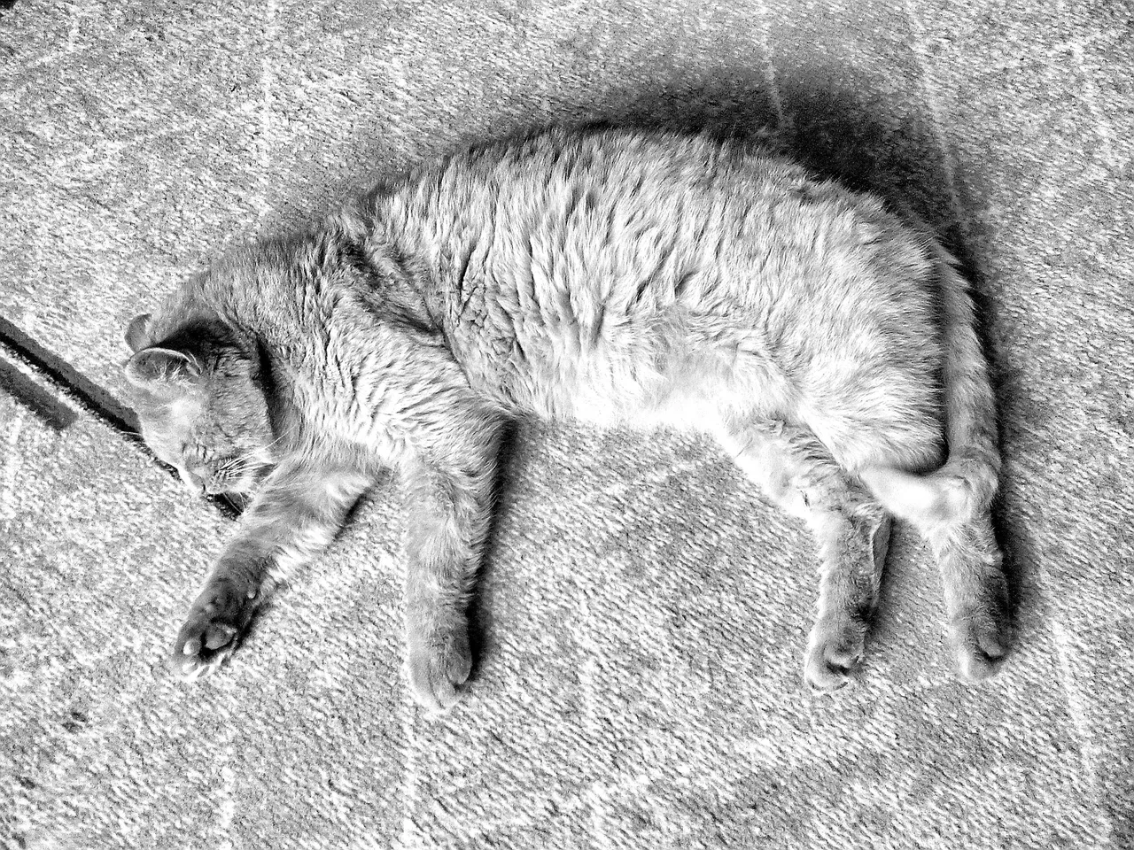 7 Day Black & White Images Challenge - Day 6