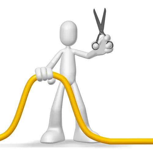 CUTTING THE CORD - no more Land Line Telephone