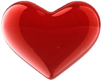 YOUR HEART,  YOUR DESTINY