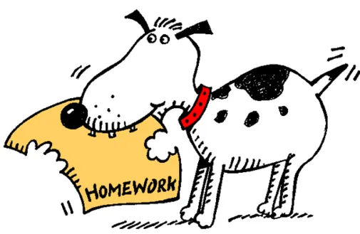 Is Homework Important for Students? 