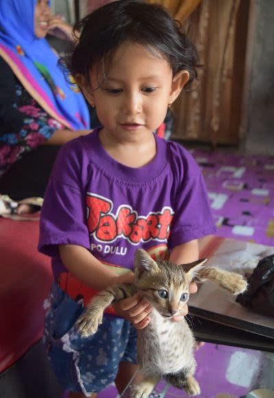 Liitle girl and cat