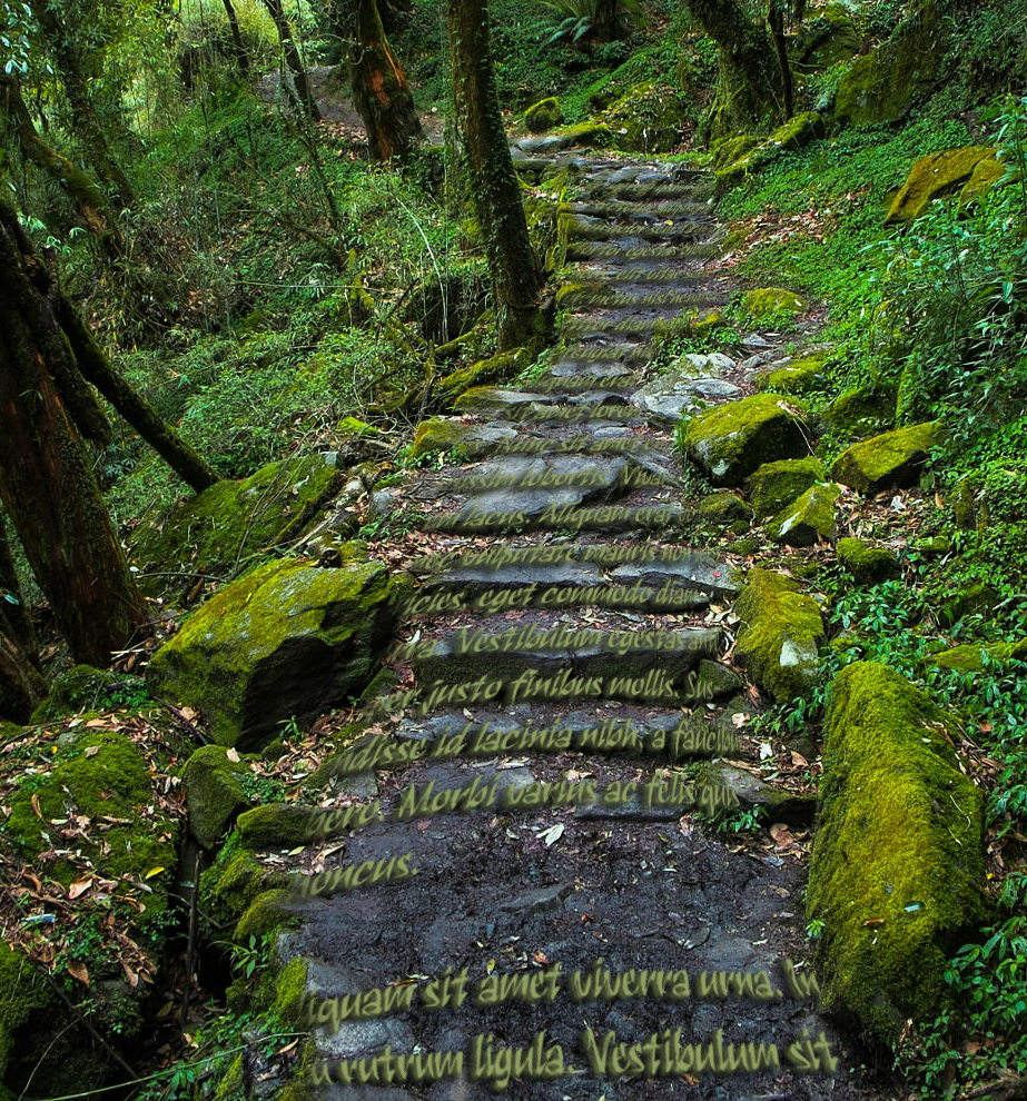 #Polish i jego regulamin - prawo dżungli inaczej