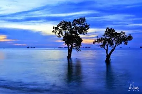 PULAU TAMBEH
