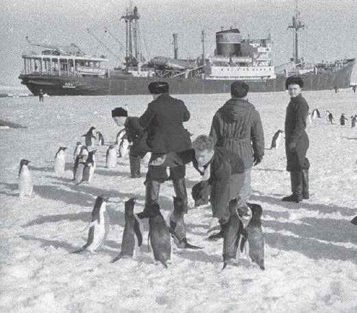 Antarctica, 1958. The crew of the research vessel "Ob".