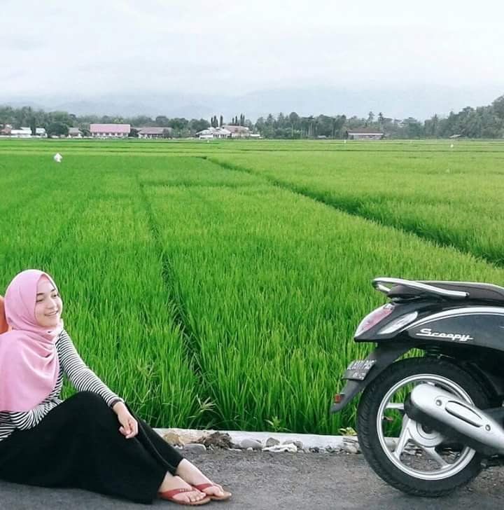 Anugrah tuhan lewat alam semesta