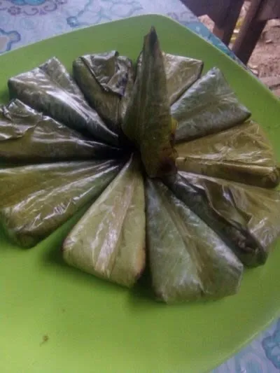roasted pulp