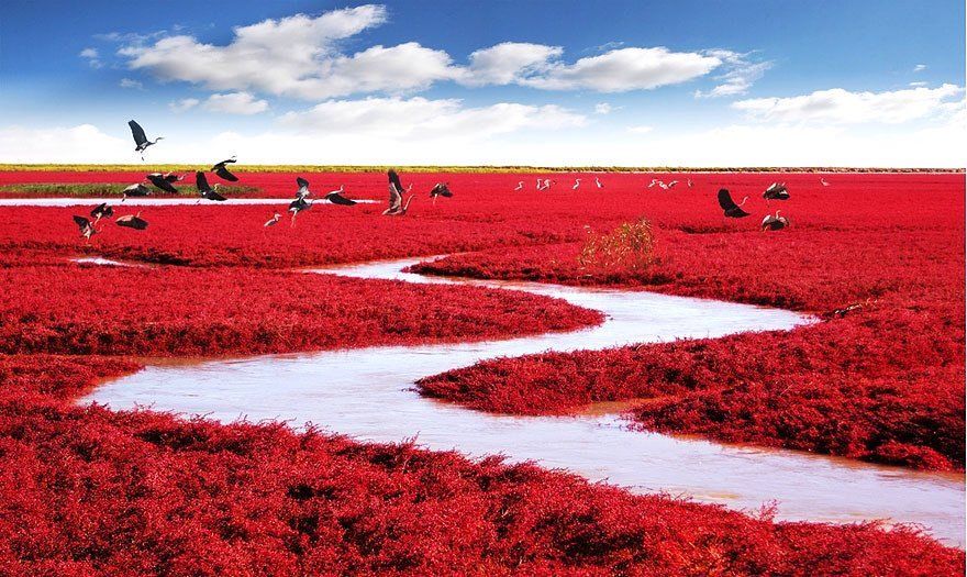 Color challenge●•°•● red Monday