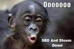 Funny Memes About Steemit