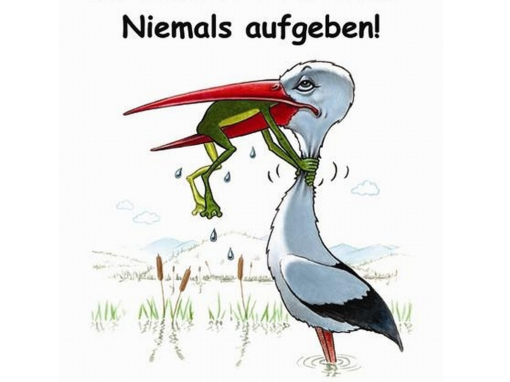 Gedankensplitter