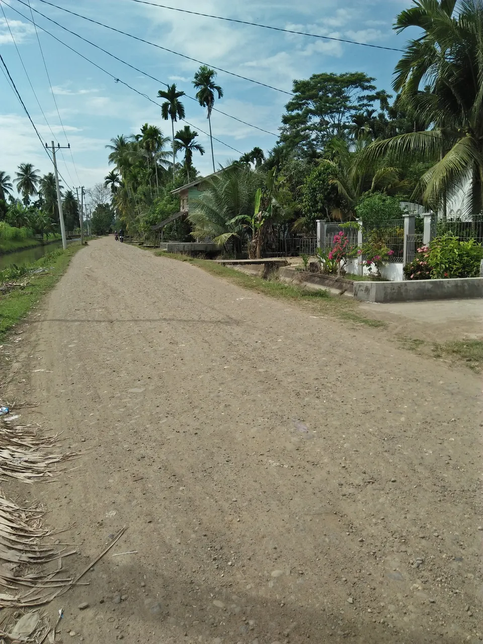 Jalan desa