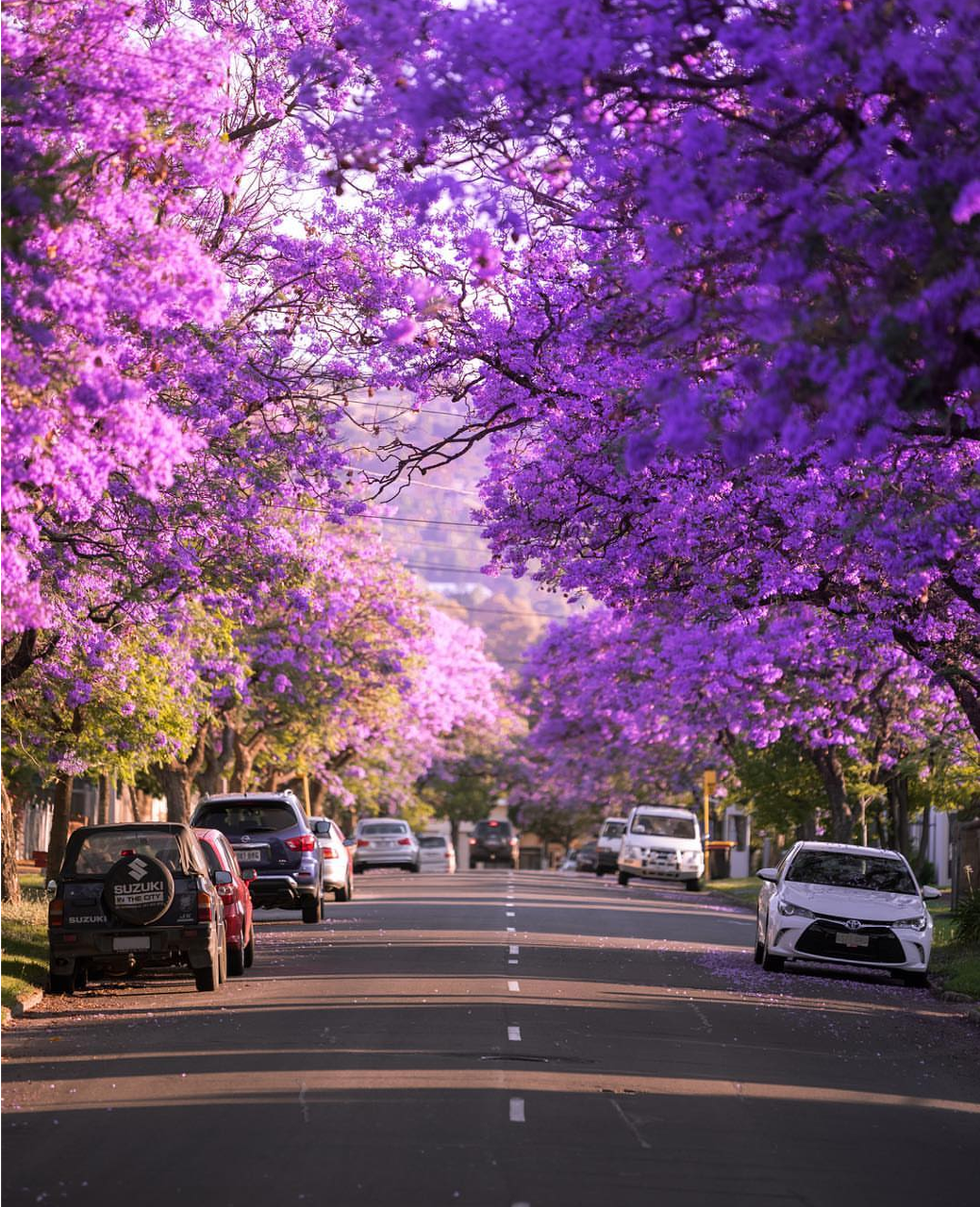 Adelaide, South Australia
