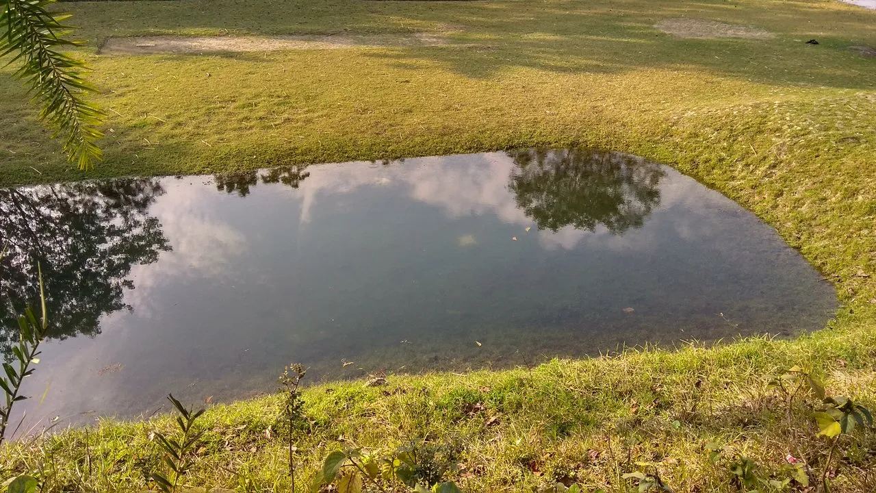 Little Lake