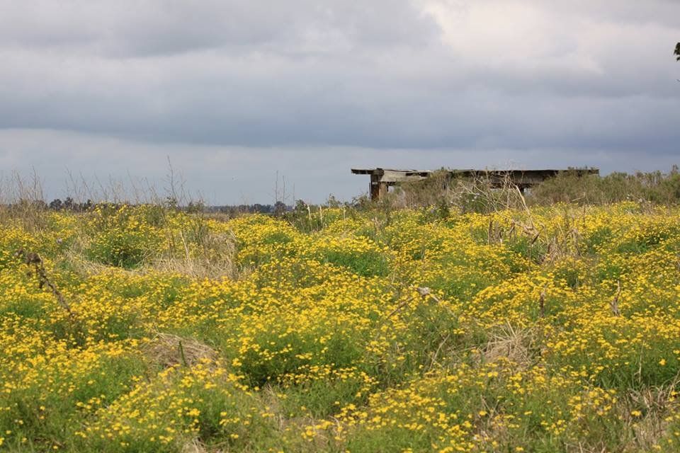 ColorChallenge - Wednesday  -  Yellow