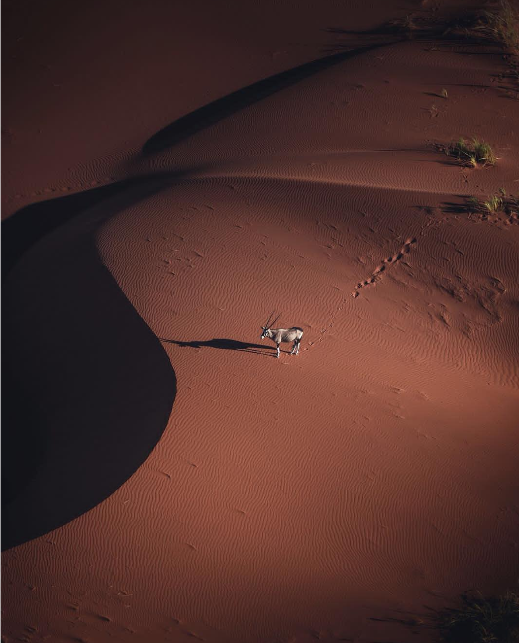 Sossusvlei, Namibia