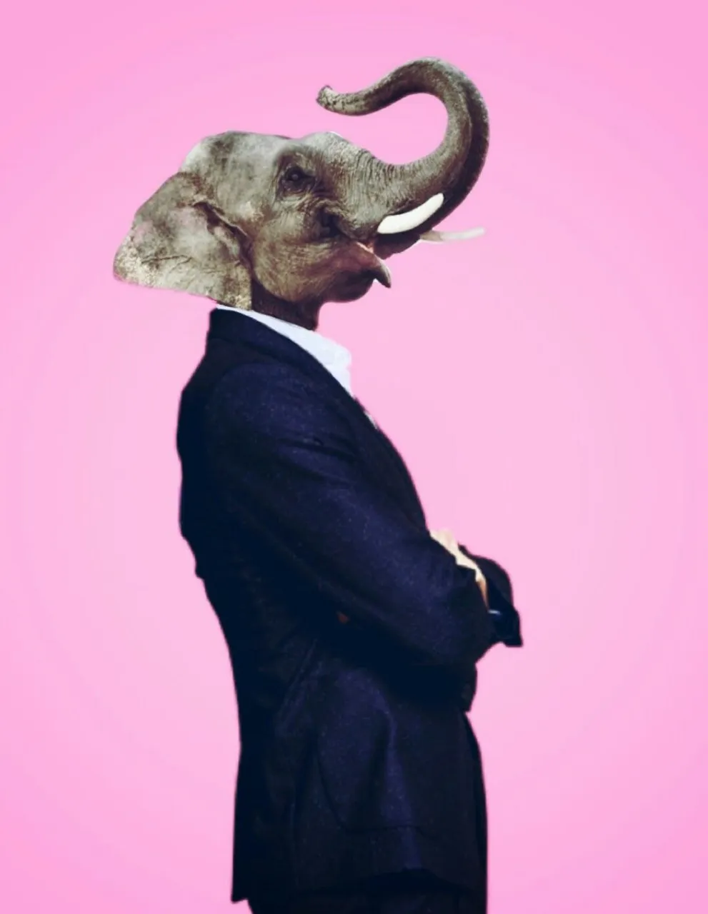elephant man