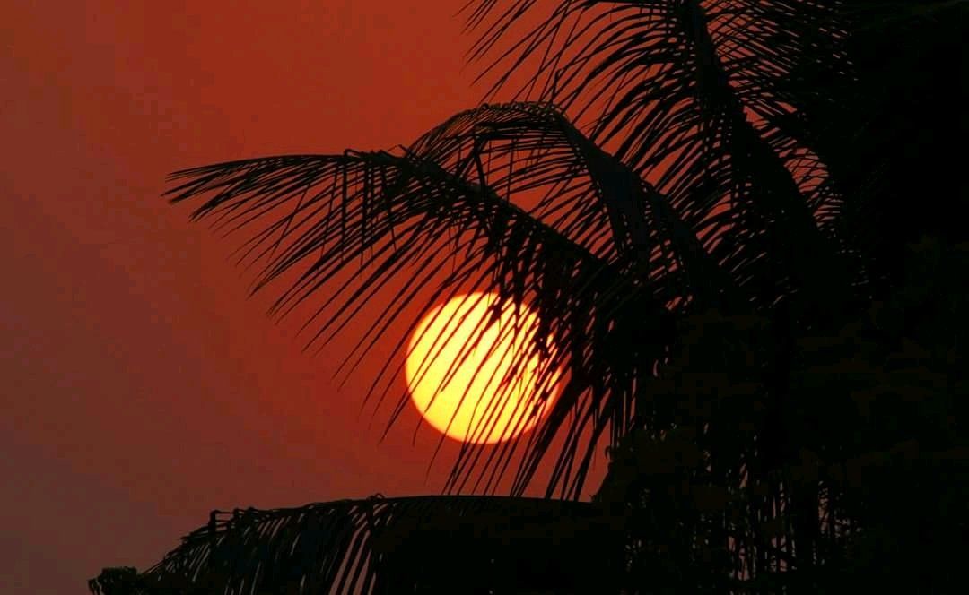 Good morning Bangladesh