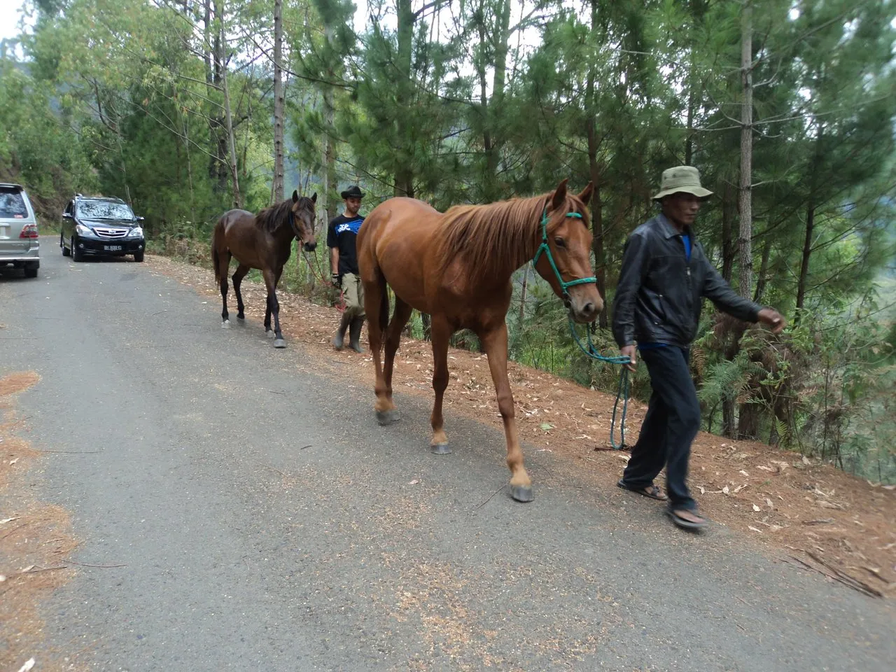 Horse racing