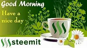 Good morning friends😊