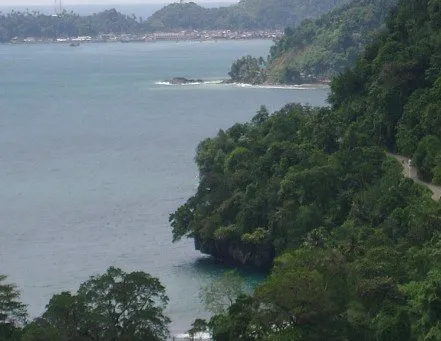 enjoy the beauty of nature