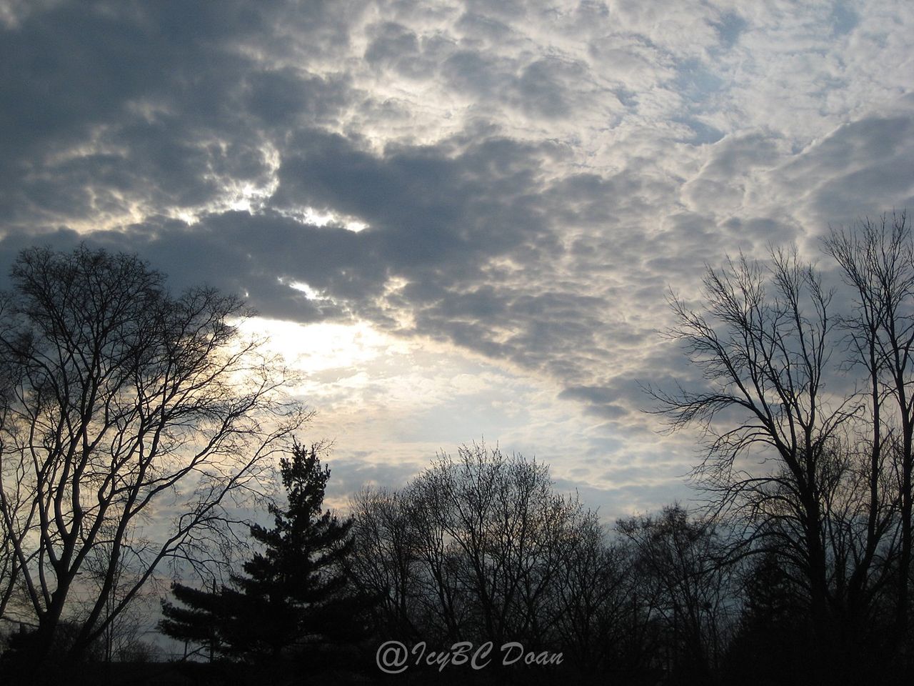 Wide Open Sky