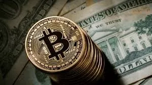 Rather than Ban, the Government Better Arrange Bitcoin