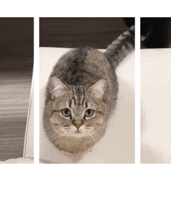 This gif are Suprised me..