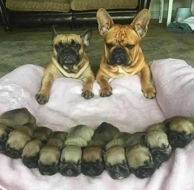Poor couple with many children. OMG. Haha