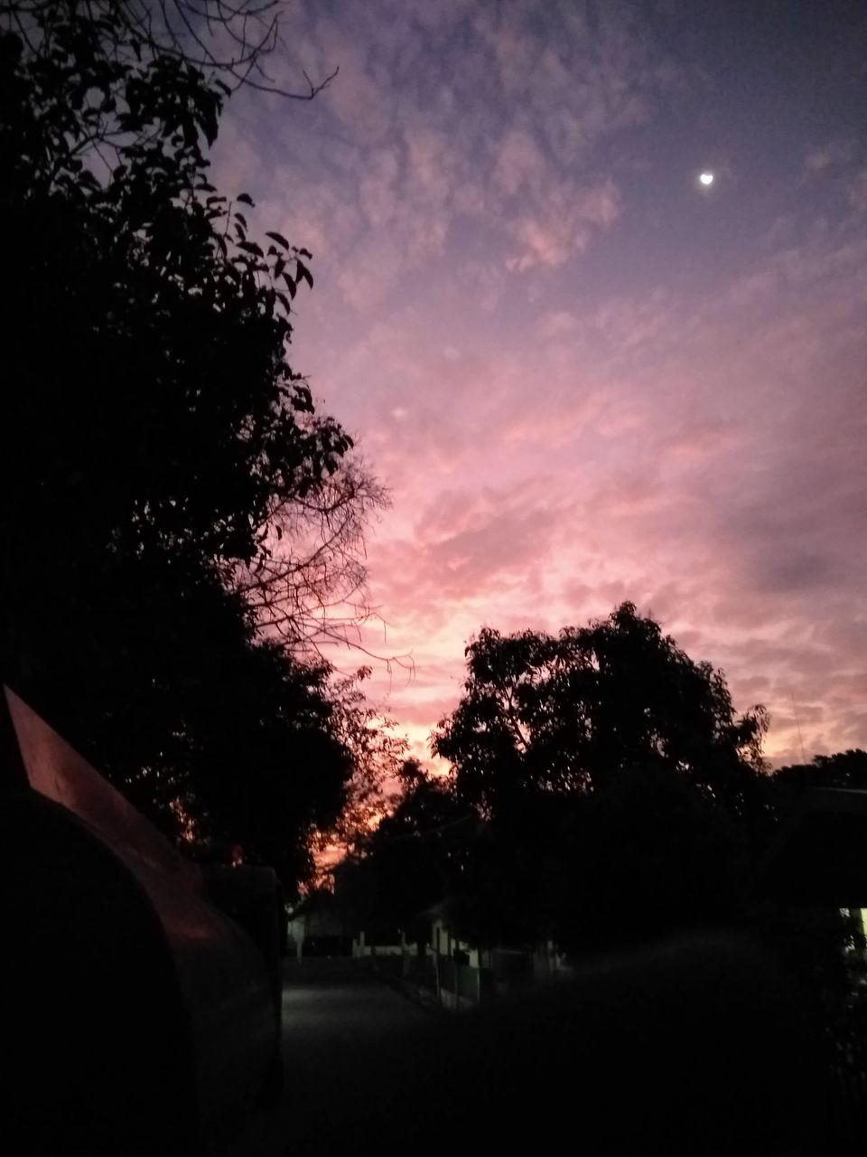 THE BEGINNING OF THE SUNRISE