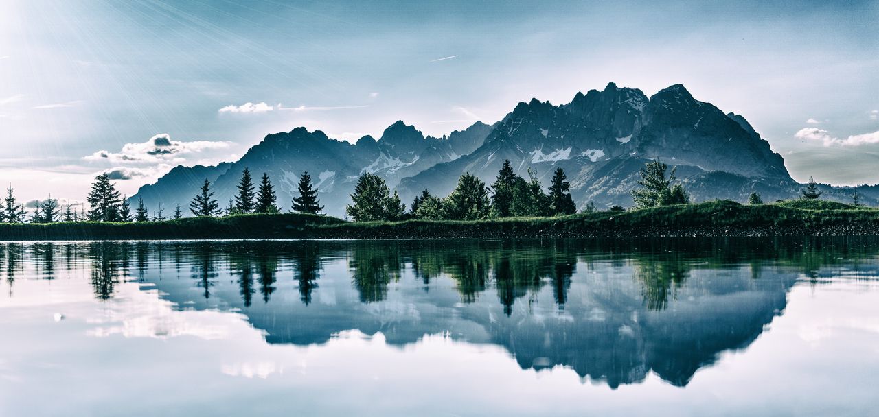 Nature Photography